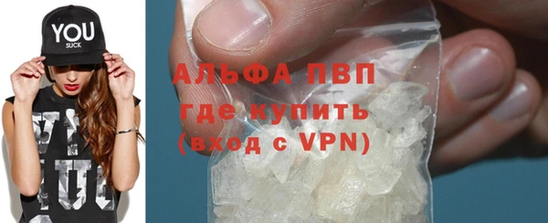шишки Белоозёрский