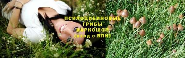 ALPHA PVP Балахна