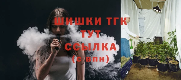 шишки Белоозёрский